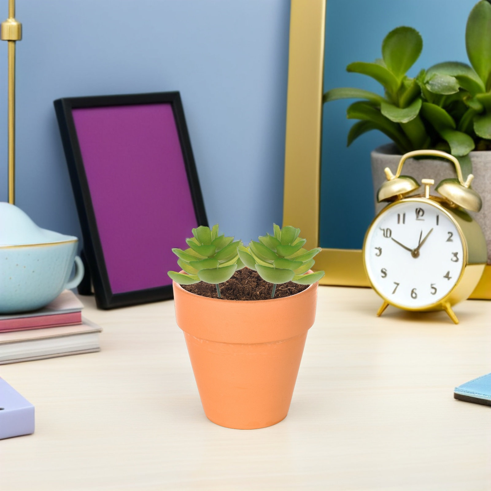 Набор из 6 искусственных сукку – обзор и цена Plant Pot Small Desk